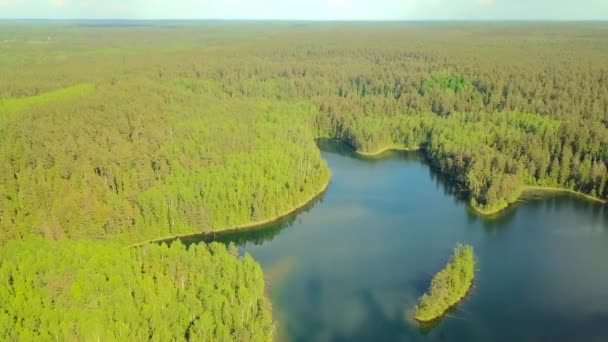 タイガの森の湖を飛んでいます。絵のように美しい場所大きな湖に囲まれた森 — ストック動画