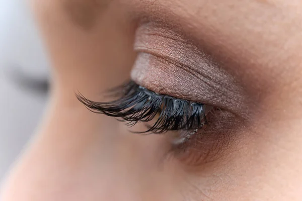 Female eye with makeup and false eyelashes, macrophotography. Beauty industry. Beauty salon concept