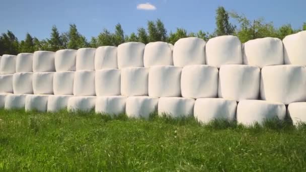 Heuballen in weißen Plastikverpackungen stapeln sich auf dem Feld. Kamera bewegt sich. — Stockvideo