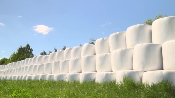 Le balle di fieno in imballaggi di plastica bianca sono impilate in campo. macchina fotografica è in movimento. — Video Stock