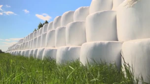 Os fardos de feno em embalagens de plástico branco são empilhados no campo. câmera está se movendo. — Vídeo de Stock