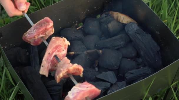 Primo piano di cottura di un delizioso piatto alla griglia sul barbecue. — Video Stock