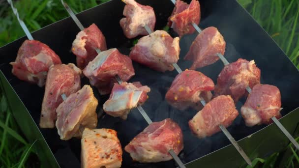 Close-up de cozinhar um delicioso prato grelhado no churrasco. — Vídeo de Stock