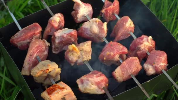 Detailní záběr vaření lahodné grilované jídlo na grilu. — Stock video
