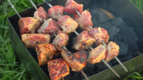 Närbild av matlagning en läcker grillad maträtt på grillen. — Stockvideo