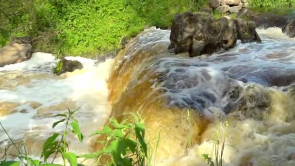 De enige waterval in Wit-Rusland in het sprookjesbos. — Stockvideo