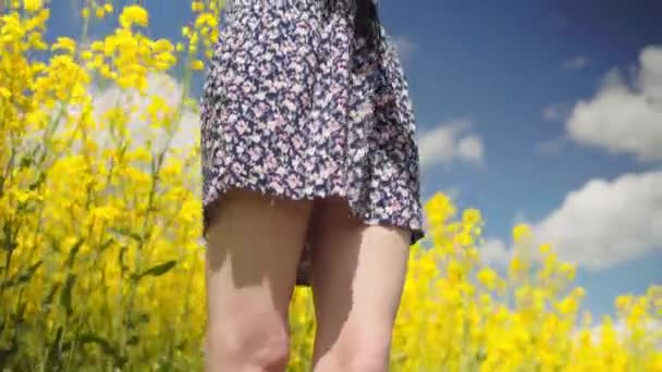 Porträtt av en lycklig kvinna som tar selfie i ett fält av gula rapsfrön blommor. — Stockvideo