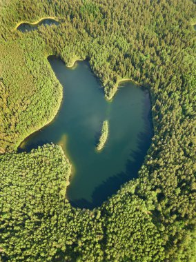 Beyaz Rusya 'daki Narochansky Ulusal Parkı' nda güneşli bir yaz gününde ormandaki kalp şeklinde Hlubelka Gölü 'nün insansız hava aracı görüntüsü. Dikey fotoğraf