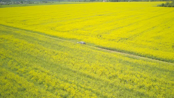 Drohnenaufnahme Eines Autos Das Einem Sonnigen Tag Auf Einer Straße — Stockfoto