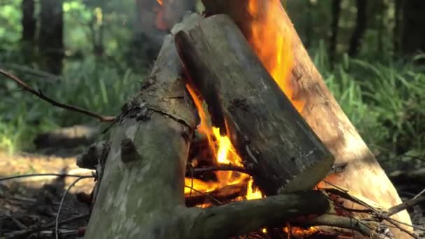 Brucia interi tronchi nel fuoco, fiamme. Escursioni. Turismo. Viaggia. Stile di vita — Video Stock