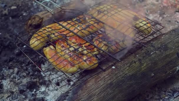 As salsichas são grelhadas numa churrasqueira ao ar livre. fogueira está queimando na floresta. — Vídeo de Stock