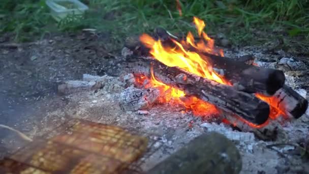 Klobásy se grilují na venkovním grilu. táborák hoří v lese. — Stock video