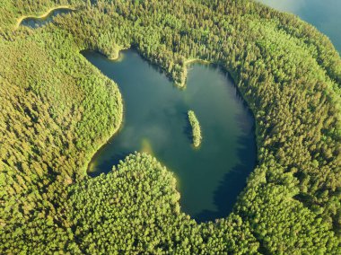 Narochansky Ulusal Parkı 'nda güneşli bir yaz gününde ormandaki kalp şeklinde Hlubelka Gölü' nün insansız hava aracı görüntüsü..