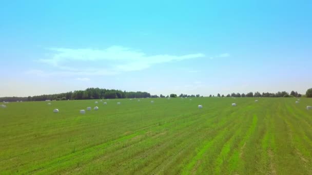 Heuballen in weißen Plastikverpackungen stapeln sich auf einem Feld. Drohnenflug. — Stockvideo