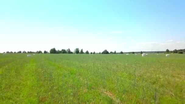 Heuballen in weißen Plastikverpackungen stapeln sich auf einem Feld. Drohnenflug. — Stockvideo