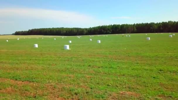 Balen hooi in witte plastic verpakkingen worden gestapeld in een veld. vlucht van drone. — Stockvideo