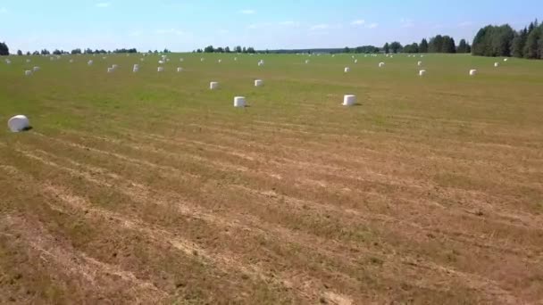 Heuballen in weißen Plastikverpackungen stapeln sich auf einem Feld. Drohnenflug. — Stockvideo