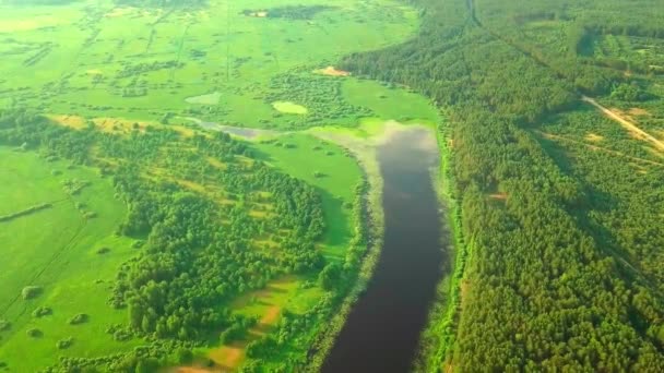 Caméra de l'hélicoptère tire rivière sur fond d'herbe verte et de forêt. — Video