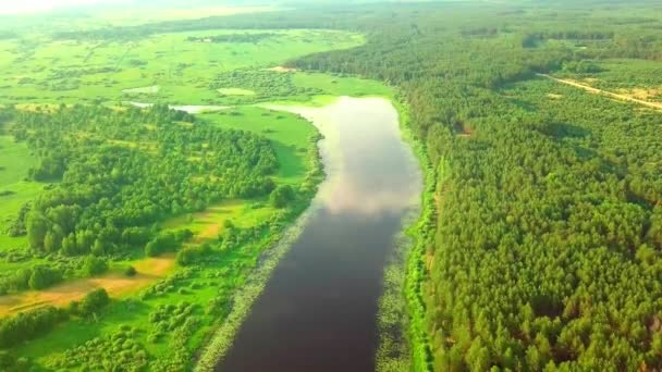 Helikopterkamera filmt Fluss vor grünem Gras und Wald. — Stockvideo