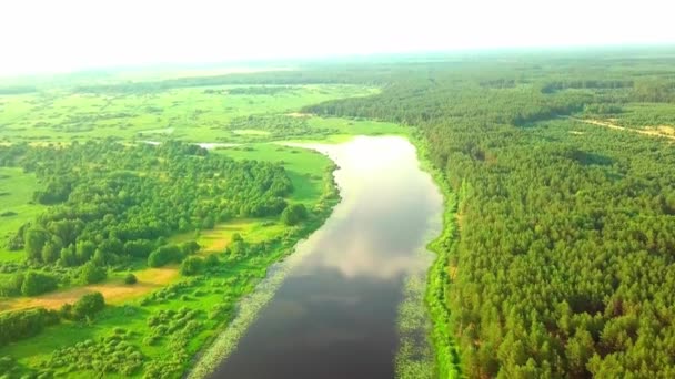Helikopterkamera filmt Fluss vor grünem Gras und Wald. — Stockvideo
