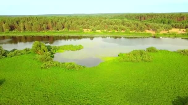 Câmera do helicóptero dispara rio contra fundo de grama verde e floresta. — Vídeo de Stock