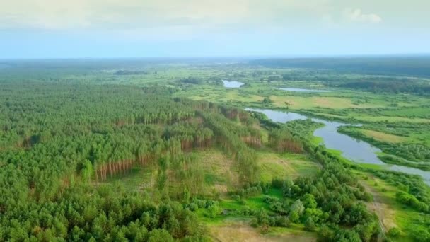 Helikopterkamera filmt Fluss vor grünem Gras und Wald. — Stockvideo