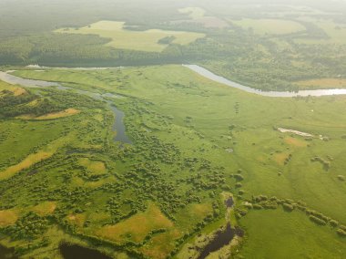 Nehirde bir insansız hava aracıyla güzel bir yaz manzarası. Sel çayırları, tarlalar, ormanlar.