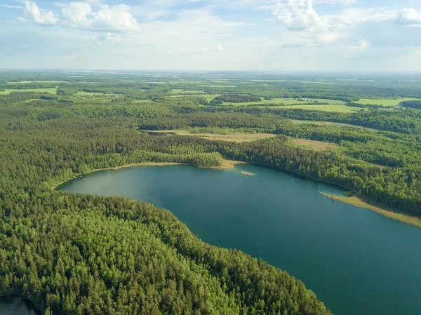 Drone view of Lake Hlubelka in the forest on a sunny summer day in Narochansky National Park, Belarus.