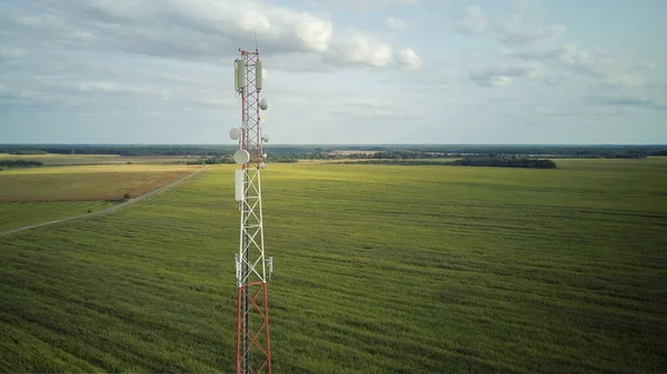 Drónkilátás Egy Vidéki Telekommunikációs Toronyra Mezőgazdasági Kukoricaföldeken Cellás Hálózati Antennákkal — Stock Fotó