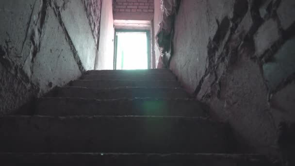 Strašidelné staré cihlové schodiště do strašidelného suterénu nebo žaláře, — Stock video