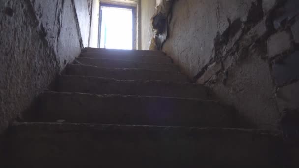 Eine gruselige alte Ziegeltreppe zu einem beängstigenden Keller oder Verlies, — Stockvideo