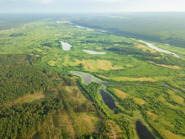 Nehirde bir insansız hava aracıyla güzel bir yaz manzarası. Sel çayırları, tarlalar, ormanlar.