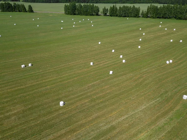 Drohnen Ansicht Von Heuballen Aus Weißem Polyethylen Auf Einem Feld — Stockfoto