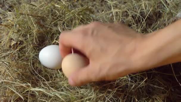Ręka mężczyzny wyciąga jaja kurczaka z gniazda w zbliżeniu. — Wideo stockowe
