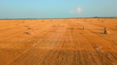 İnsansız hava aracı samanlı samanlıkların olduğu bir arazide uçuyor..