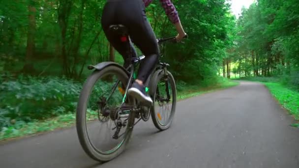 Passeios de bicicleta em uma estrada de asfalto no meio da floresta. Close-up de pernas e rodas. — Vídeo de Stock