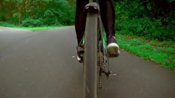 Balades à vélo sur une route asphaltée au milieu de la forêt. Gros plan sur les jambes et les roues. — Video
