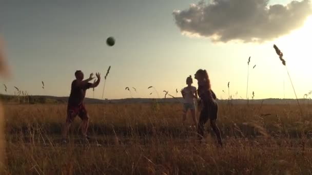 Μια ομάδα νέων παίζει βόλεϊ στο γήπεδο το ηλιοβασίλεμα. — Αρχείο Βίντεο