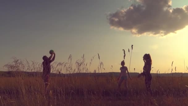 Drei junge energische Leute spielen Ball, Volleyball bei Sonnenuntergang auf dem Feld. — Stockvideo