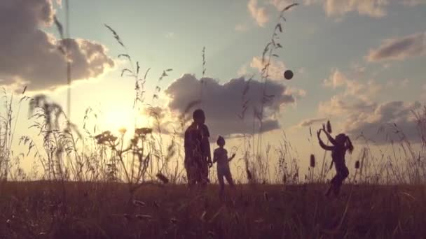 Un groupe de jeunes joue au volley-ball sur le terrain au coucher du soleil. au ralenti, — Video