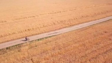 İnsansız hava aracının kuş bakışı görüntüsü. Nehir boyunca bir tarlada bisiklet süren bir kadın.