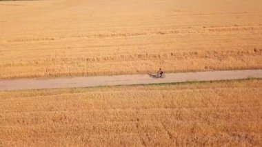 Yaz yolları tarlalardan geçer, kadın sihirli tarlalardan bisikletle geçer.