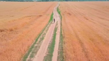 İnsansız hava aracının kuş bakışı görüntüsü. Bir kadın tarlada bisiklet sürüyor.