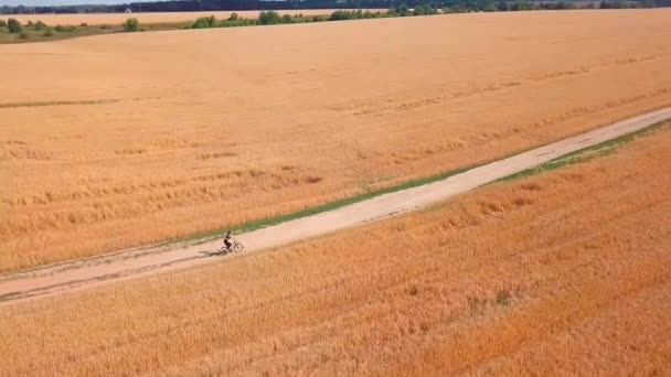 Letní silnice přes pole žena jezdí na kole přes okouzlující pole tečkované — Stock video