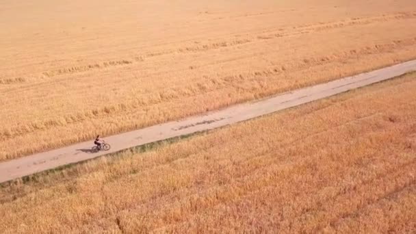 Uma visão panorâmica do drone. mulher monta uma bicicleta em um campo ao longo do rio — Vídeo de Stock