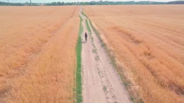 Letní silnice přes pole žena jezdí na kole přes okouzlující pole tečkované — Stock video