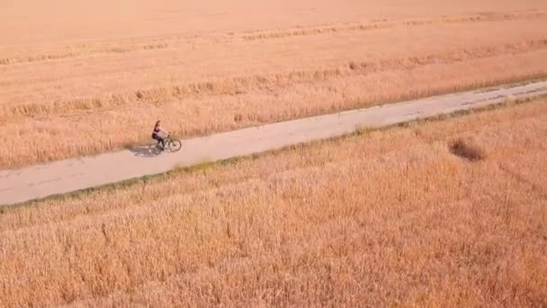 Nyári utak mezőkön át nő biciklizik elvarázsolt mezőkön — Stock videók