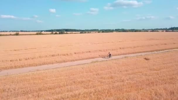 Een vogelperspectief op een drone. Een vrouw fietst door een veld — Stockvideo