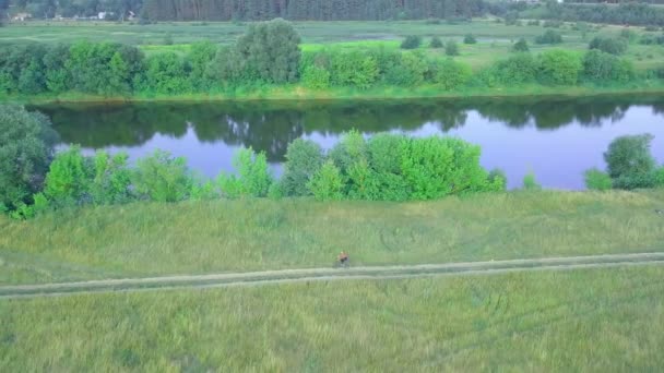 Une vue aérienne du drone. femme fait du vélo dans un champ le long de la rivière — Video