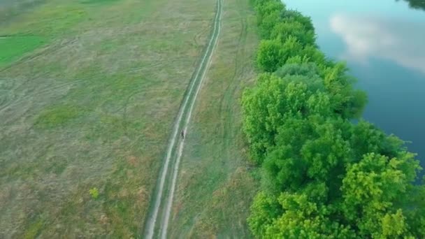 Bird's-eye view of woman cyclist riding along river on country field gravel road — Stock Video